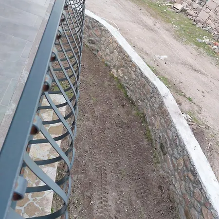 Badem Cicegi Ve Zeytin Cicegi * Ayvacik (Canakkale)
