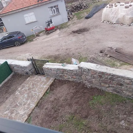Badem çiçeği Ve Zeytin çiçeği Ayvacik (Canakkale)