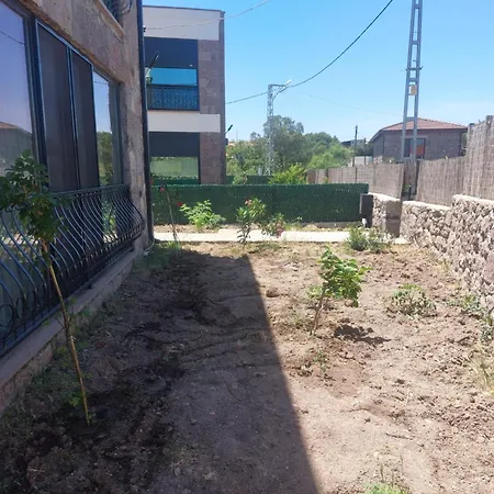 Badem Cicegi Ve Zeytin Cicegi