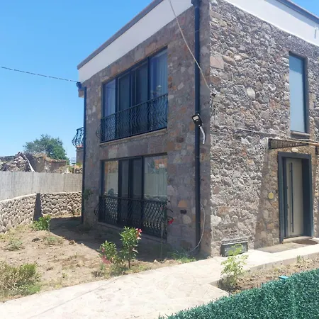 Badem çiçeği Ve Zeytin çiçeği * Ayvacik (Canakkale)