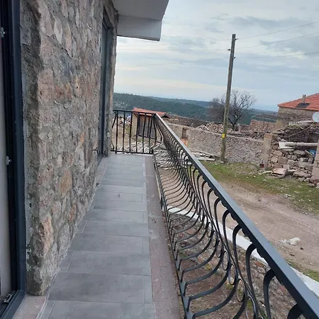 Badem çiçeği Ve Zeytin çiçeği Villa Ayvacik (Canakkale)