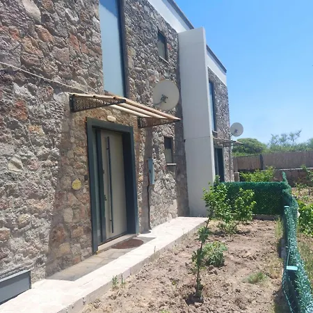 Badem çiçeği Ve Zeytin çiçeği Villa Ayvacik (Canakkale)